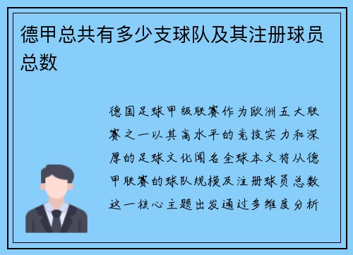 德甲总共有多少支球队及其注册球员总数