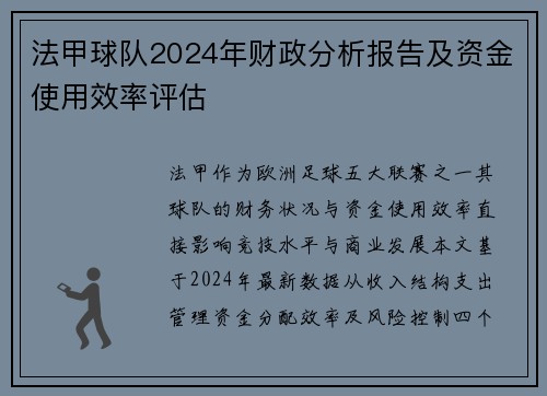 法甲球队2024年财政分析报告及资金使用效率评估